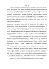 Socialinė žmogaus koncepcija 2 puslapis