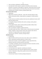 Socialinė žmogaus koncepcija 13 puslapis