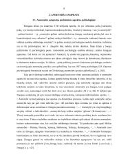 Socialinė žmogaus koncepcija 8 puslapis