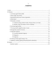 Socialinė-kultūrinė aplinka Lietuvoje 2 puslapis