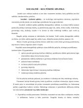 Socialinė-kultūrinė aplinka Lietuvoje 4 puslapis