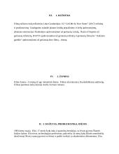 Filmo „Vadink mane savo vardu“ menotyrinė analizė 3 puslapis