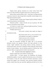 Socialinės apsaugos svarba žmonių gyvenime 2 puslapis