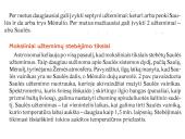 Saulės ir Mėnulio užtemimai (skaidrės) 16 puslapis