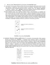 Baltymų išskyrimas iš audinių. Chromatografijos rūšys 2 puslapis