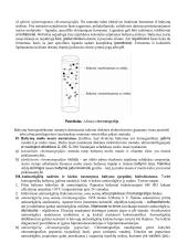 Baltymų išskyrimas iš audinių. Chromatografijos rūšys 3 puslapis