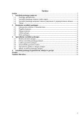 Pagrindinės socialinės paslaugos 2 puslapis