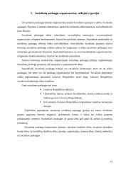 Pagrindinės socialinės paslaugos 13 puslapis