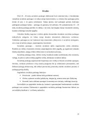 Pagrindinės socialinės paslaugos 14 puslapis