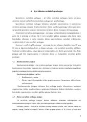 Pagrindinės socialinės paslaugos 9 puslapis