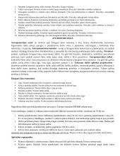 Ergonomikos egzamino pasiruošimas 3 puslapis