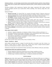 Ergonomikos egzamino pasiruošimas 5 puslapis