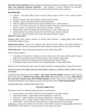 Ergonomikos egzamino pasiruošimas 6 puslapis