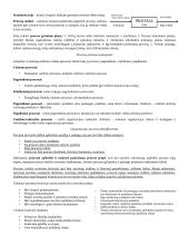 Verslo procesų egzamino pasiruošimas 2 puslapis