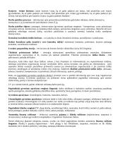 Karjeros valdymo egzamino pasiruošimas 3 puslapis