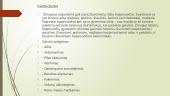 Imuniteto susidarymas, pirmuonių ir kirmėlinės ligos 13 puslapis