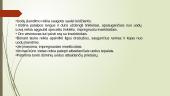 Imuniteto susidarymas, pirmuonių ir kirmėlinės ligos 7 puslapis