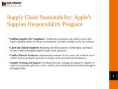 Apple company's activities in the context of sustainable development 8 puslapis