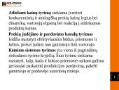 Rinkodaros aplinka 10 puslapis