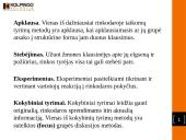 Rinkodaros aplinka 12 puslapis