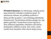 Rinkodaros aplinka 13 puslapis