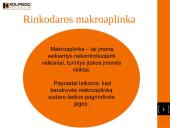 Rinkodaros aplinka 2 puslapis