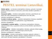 Rinkodaros aplinka 4 puslapis