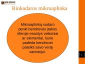Rinkodaros aplinka 5 puslapis