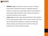 Prekės gyvavimo ciklas. Kainų politika 2 puslapis