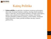 Prekės gyvavimo ciklas. Kainų politika 5 puslapis
