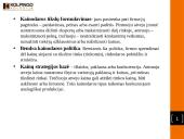 Prekės gyvavimo ciklas. Kainų politika 7 puslapis