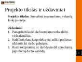 Neapmokamos darbo valandos laisvu metu 2 puslapis