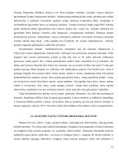 Socialinės raidos tendencijos ir problemos: Rytų Europa ir Nepriklausomų valstybių sandrauga (NVS) 15 puslapis