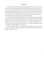 Socialinės raidos tendencijos ir problemos: Rytų Europa ir Nepriklausomų valstybių sandrauga (NVS) 6 puslapis