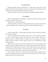 Socialinės raidos tendencijos ir problemos: Rytų Europa ir Nepriklausomų valstybių sandrauga (NVS) 10 puslapis