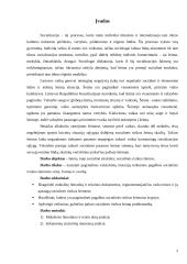 Socialinės rizikos šeimos 2 puslapis