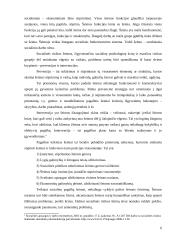 Socialinės rizikos šeimos 6 puslapis