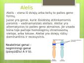 Paveldimumas ir kintamumas (skaidrės) 6 puslapis