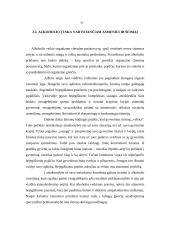 Socialinės rizikos šeimos situacijos tyrimas 3 puslapis