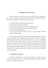 Socialinio darbo ir etikos ryšys 4 puslapis