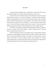 Socialinio darbo ir etikos ryšys 8 puslapis