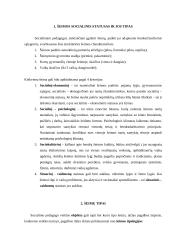 Socialinio darbo su šeima galimybės ir ypatumai 4 puslapis
