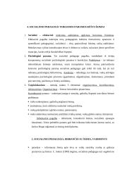 Socialinio darbo su šeima galimybės ir ypatumai 6 puslapis