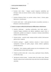 Socialinio darbuotojo ir pedagogo skirtumai 3 puslapis