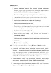 Socialinio darbuotojo ir pedagogo skirtumai 6 puslapis