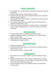 Marius Ivaškevičius. Biografija, kontekstas, kūrybos analizė