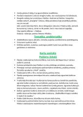 Marius Ivaškevičius. Biografija, kontekstas, kūrybos analizė 2 puslapis