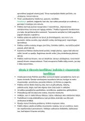 Marius Ivaškevičius. Biografija, kontekstas, kūrybos analizė 3 puslapis