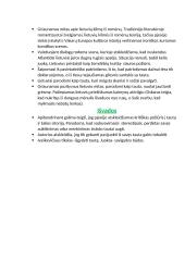 Marius Ivaškevičius. Biografija, kontekstas, kūrybos analizė 5 puslapis