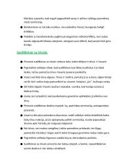 Vincas Mykolaitis-Putinas. Biografija, kontekstas, kūrybos analizė 12 puslapis